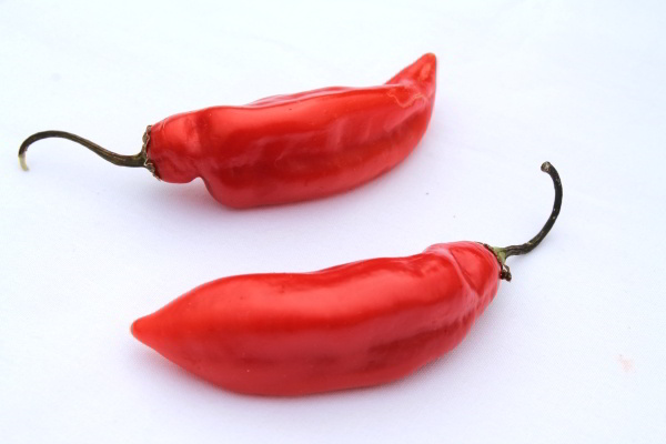 Peppers Végétariens