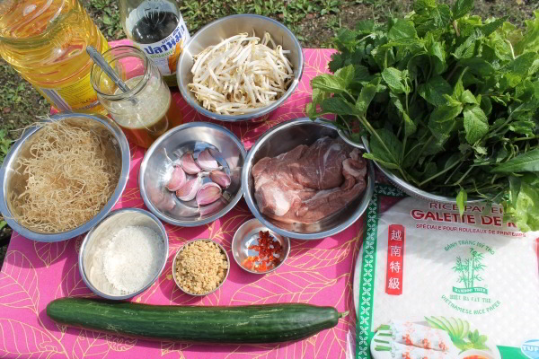 Vietnamese Spring Rolls 'BI CUON' Ingredients