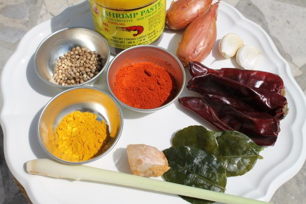 Ingrédients de la pâte de curry rouge