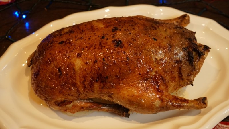 Stuffed Duck