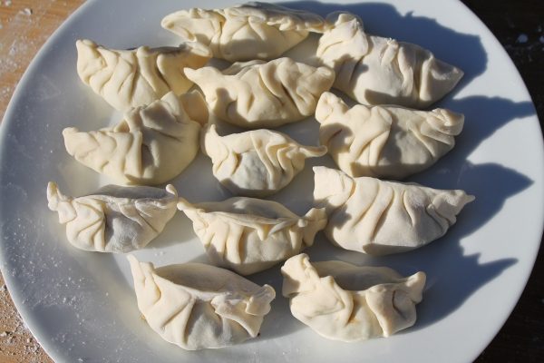 Fried Gyoza Dumplings